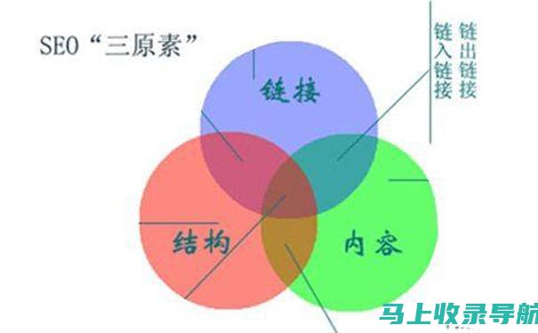 SEO入门不求人，零基础教学视频来帮你